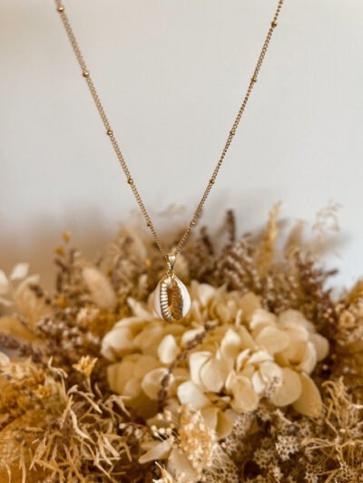 Coquillage cauri - collier - collier coquillage cauri - collier coquillage - coquillage - collier personnalisé - collier acier inoxydable - chaîne acier inoxydable - Wild louve - collier Wild louve - collier été