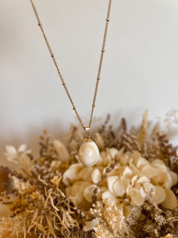 Coquillage cauri - collier - collier coquillage cauri - collier coquillage - coquillage - collier personnalisé - collier acier inoxydable - chaîne acier inoxydable - Wild louve - collier Wild louve - collier été